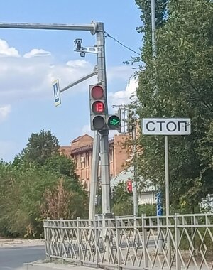 1000052074_cr.jpg